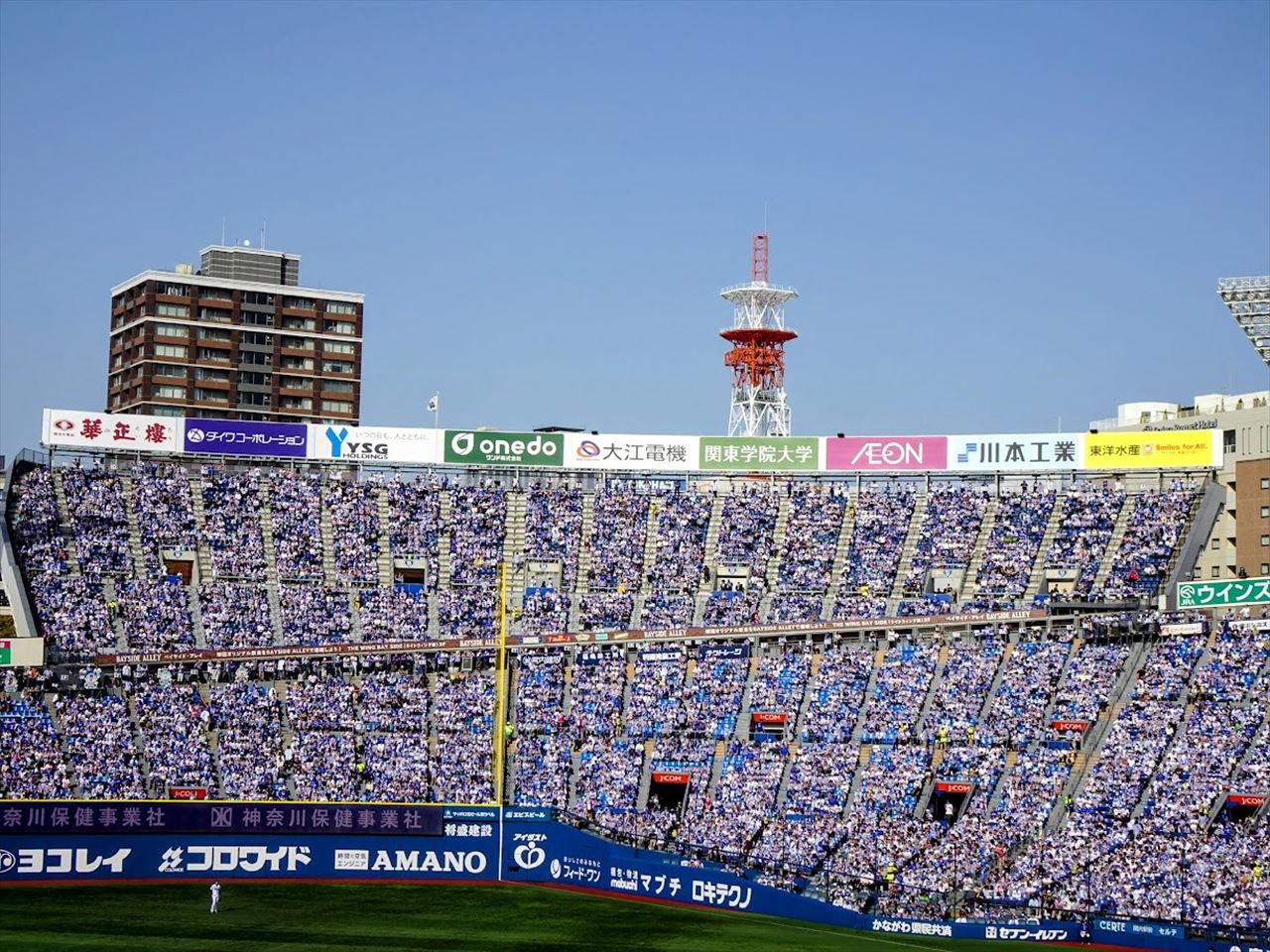 横浜スタジアムの外野席のファンの様子