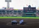 高校野球夏の地方大会